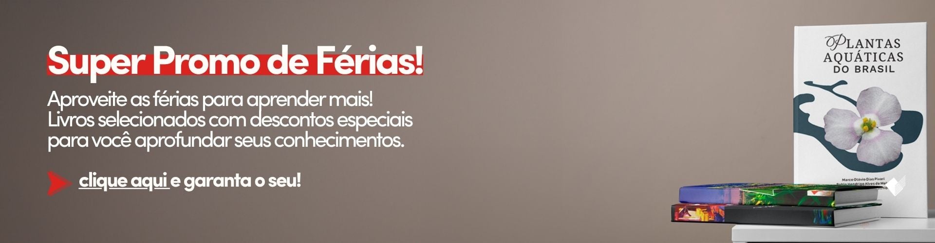 SUPER PROMO DE FERIAS - web